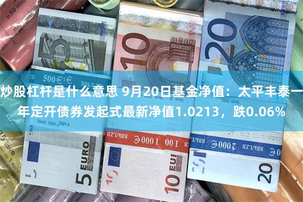 炒股杠杆是什么意思 9月20日基金净值：太平丰泰一年定开债券发起式最新净值1.0213，跌0.06%