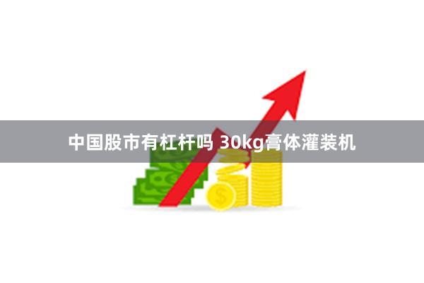 中国股市有杠杆吗 30kg膏体灌装机