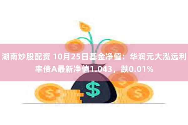 湖南炒股配资 10月25日基金净值：华润元大泓远利率债A最新净值1.043，跌0.01%