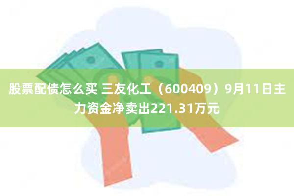 股票配债怎么买 三友化工（600409）9月11日主力资金净卖出221.31万元