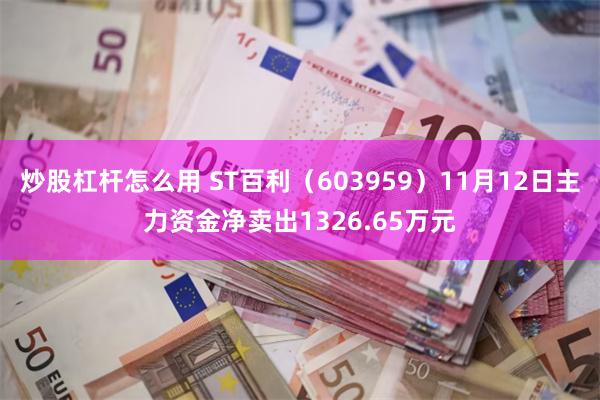 炒股杠杆怎么用 ST百利（603959）11月12日主力资金净卖出1326.65万元