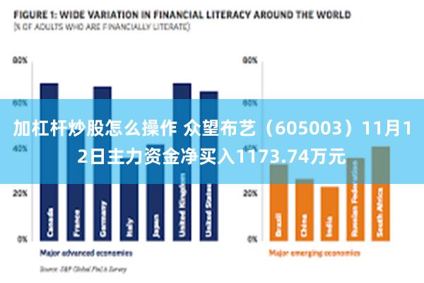 加杠杆炒股怎么操作 众望布艺（605003）11月12日主力资金净买入1173.74万元