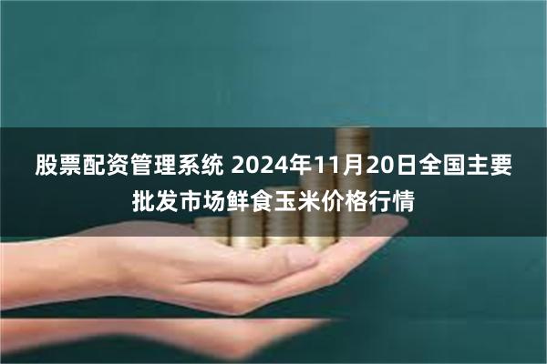 股票配资管理系统 2024年11月20日全国主要批发市场鲜食玉米价格行情