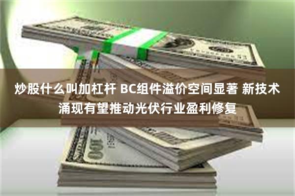 炒股什么叫加杠杆 BC组件溢价空间显著 新技术涌现有望推动光伏行业盈利修复