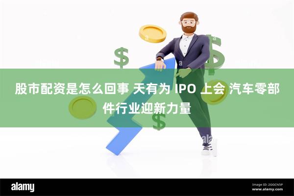 股市配资是怎么回事 天有为 IPO 上会 汽车零部件行业迎新力量