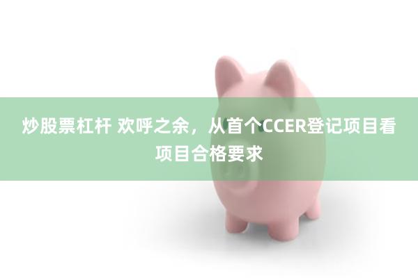 炒股票杠杆 欢呼之余，从首个CCER登记项目看项目合格要求