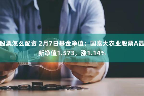 股票怎么配资 2月7日基金净值：国泰大农业股票A最新净值1.573，涨1.14%