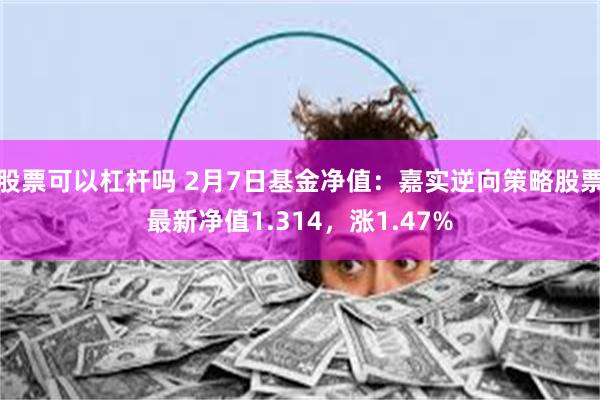 股票可以杠杆吗 2月7日基金净值：嘉实逆向策略股票最新净值1.314，涨1.47%