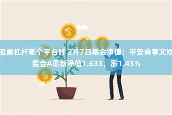 股票杠杆哪个平台好 2月7日基金净值：平安睿享文娱混合A最新净值1.633，涨1.43%